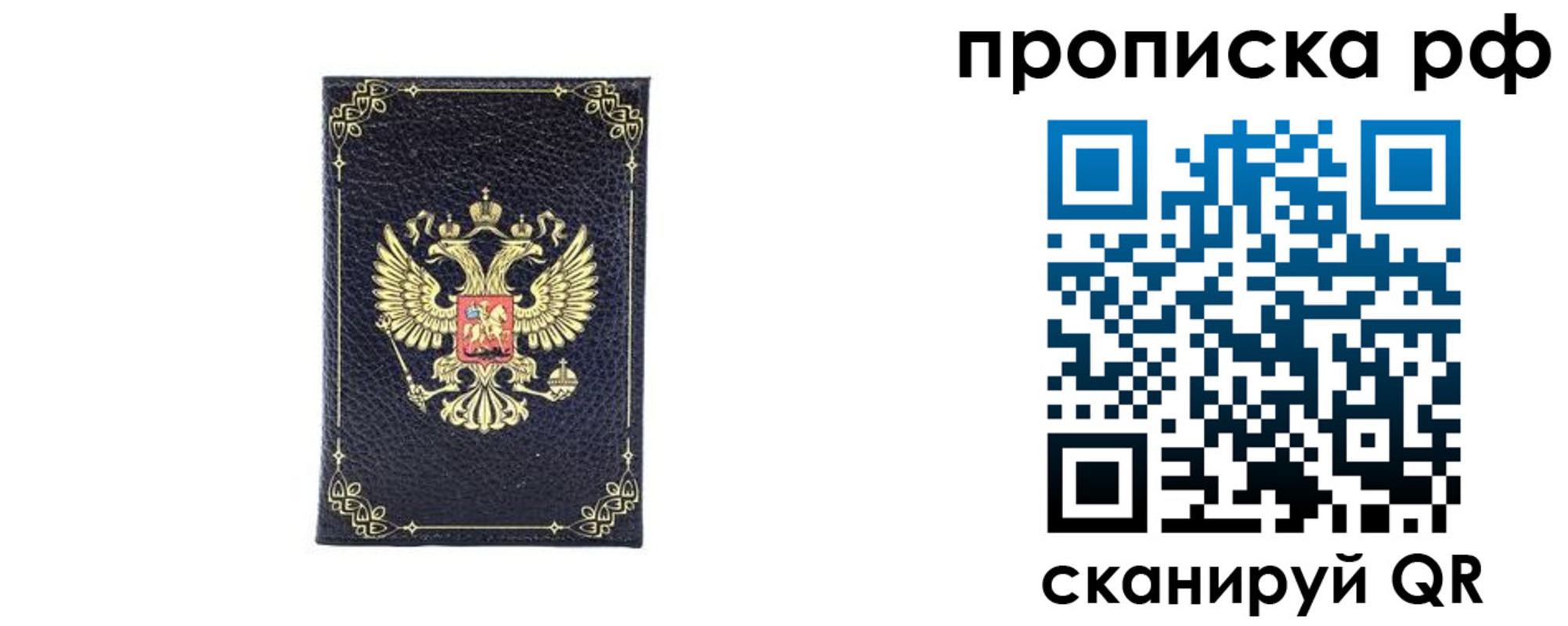прописка для школы в Ленинградской области